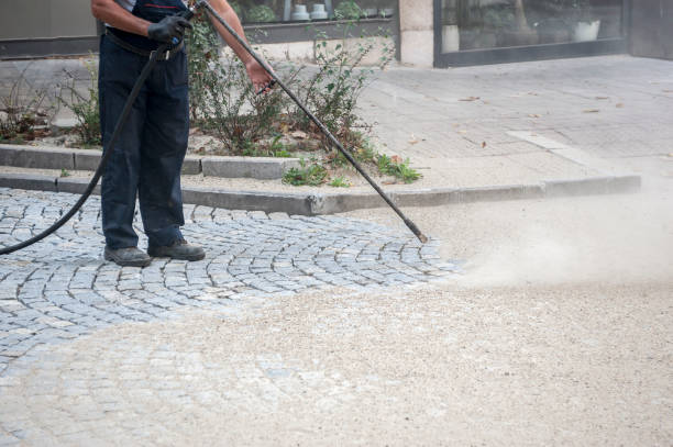 Window and Screen Pressure Cleaning